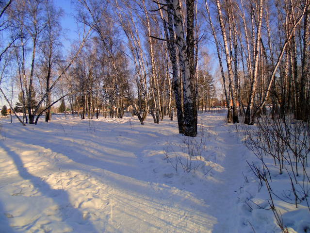 Розовое утро .