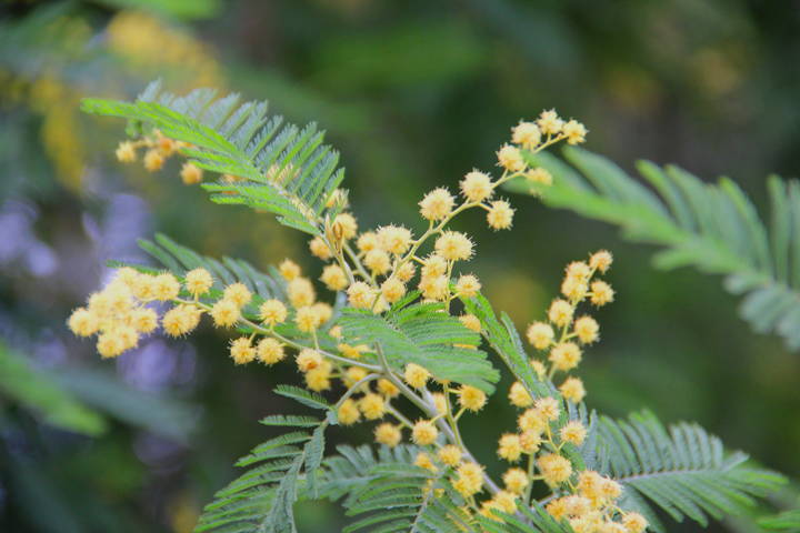 # 4