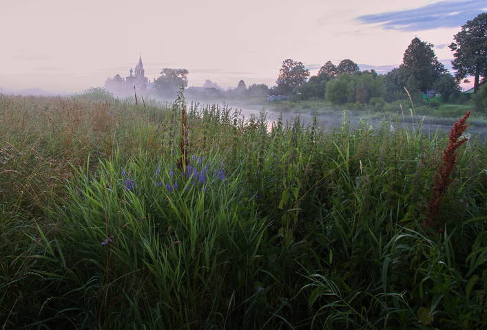 Утренний букет