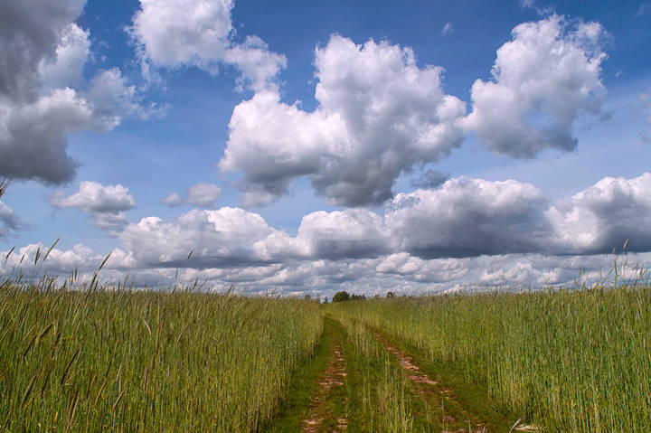 Дорога в облака.