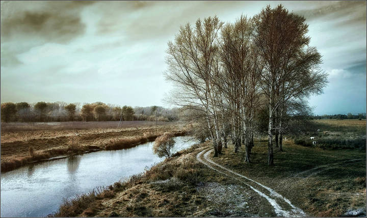 Облетела с тополей листва...