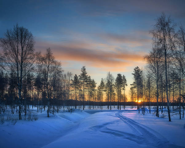 Зимние каникулы