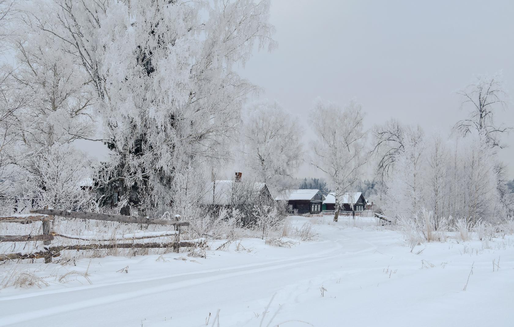 Хороша моя деревня Зимнем да морозным днём! В белом инее деревья Чистый снег лежит ковром!