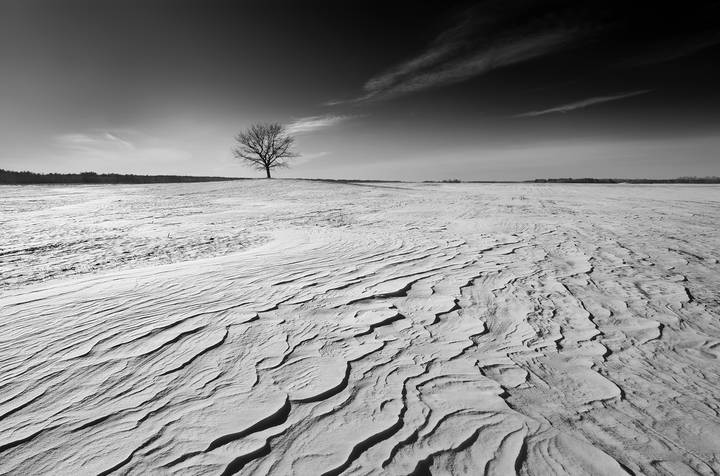 Snow desert