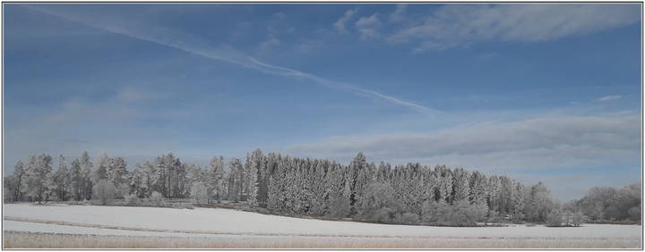 Зимняя панорама.