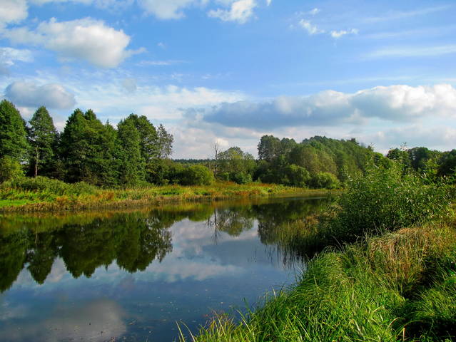 ОСЕНЬ НА РЕКЕ