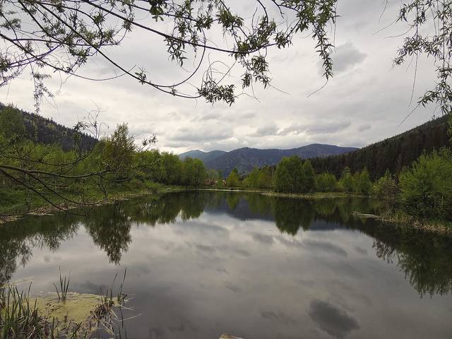 Моя родная сторона