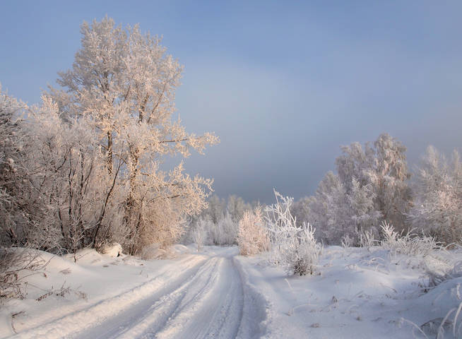 Хороша была зима
