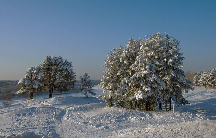 Снежно-синее