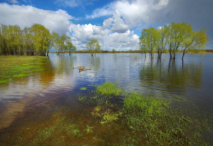 Краски весны