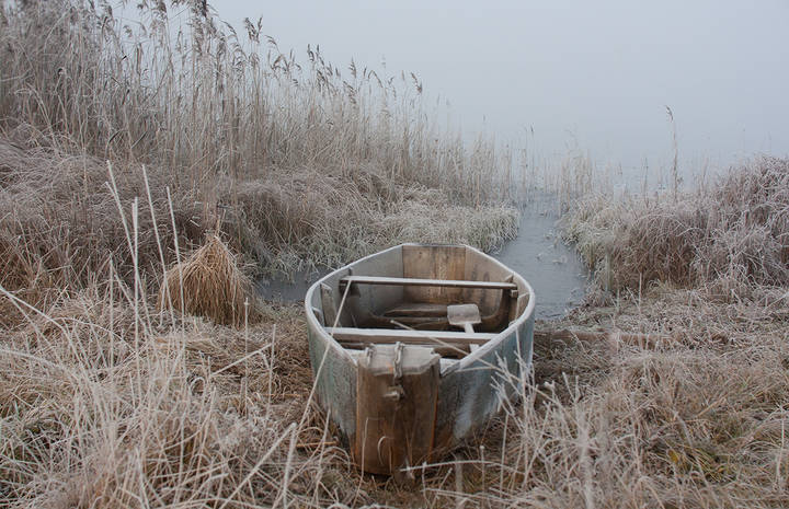 Заморозки