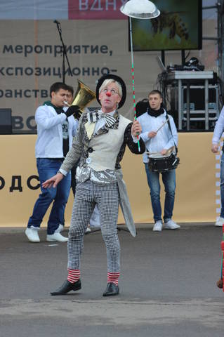 выступление клоуна
