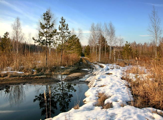 ПО ДОРОГЕ ВЕСЕННЕЙ