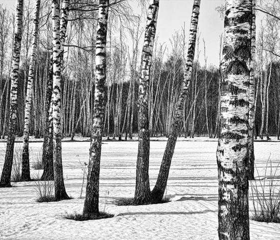 * * *
