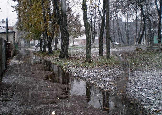 Осень