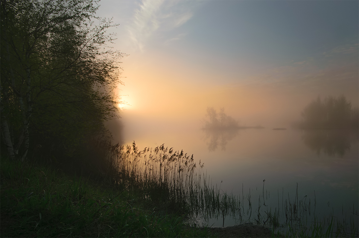 Утро на Чернореченских прудах