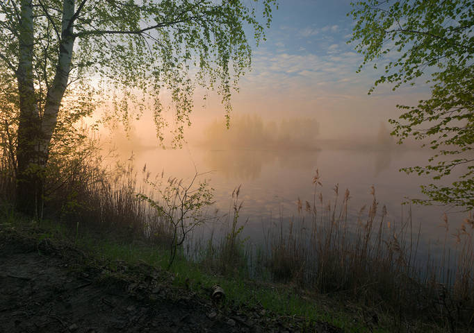 Рассвет