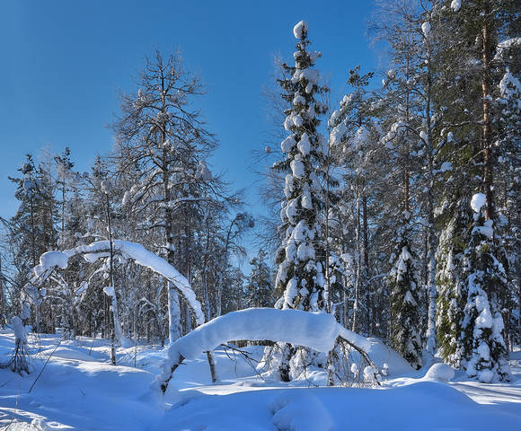 Зимние каникулы