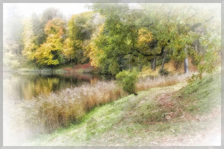 осенние мотивы