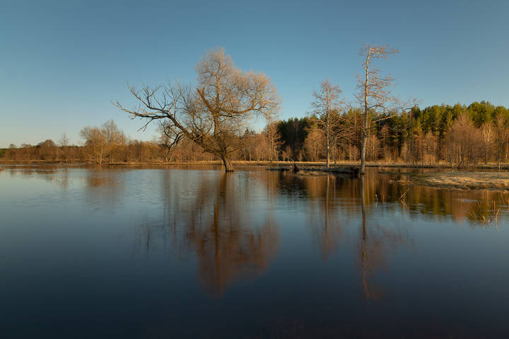 Весна. Большая вода