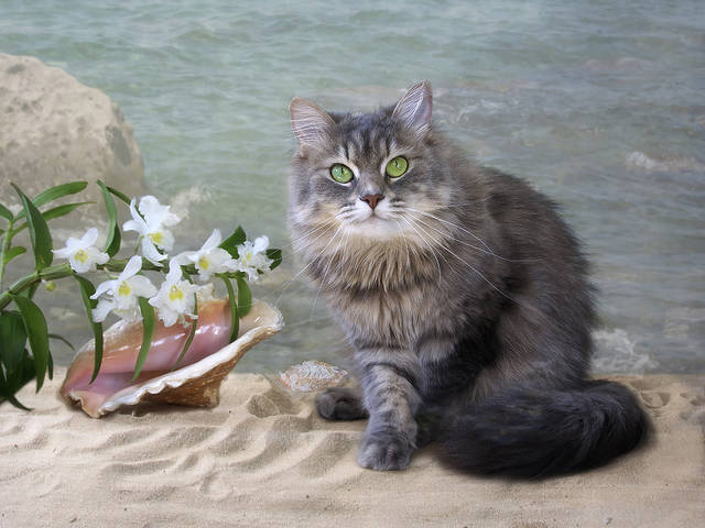 # 1