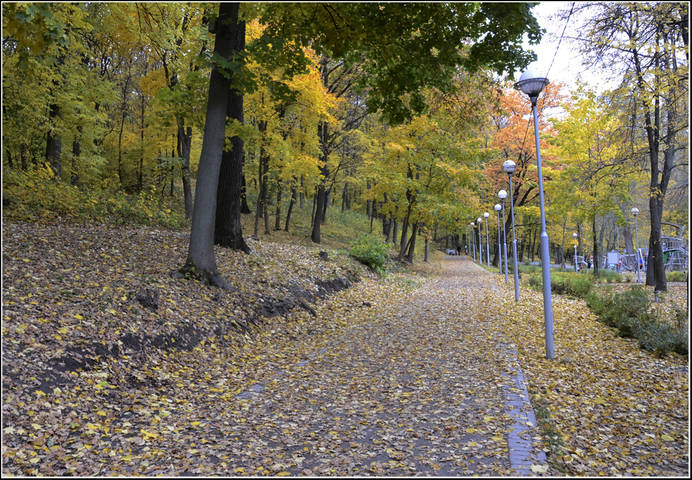 В парке
