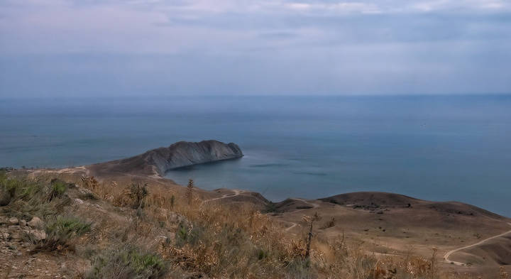 Утренний Хамелеон