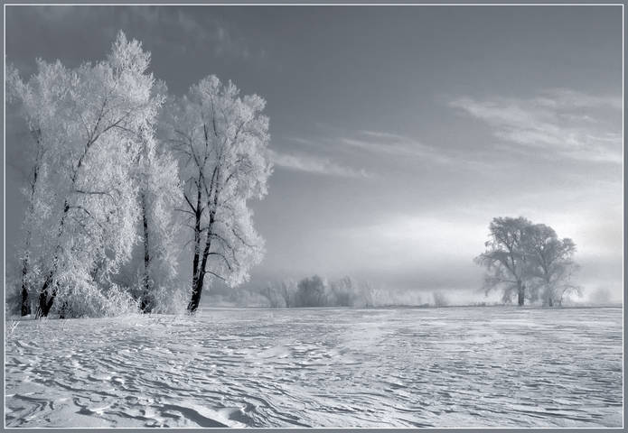 Русское поле.