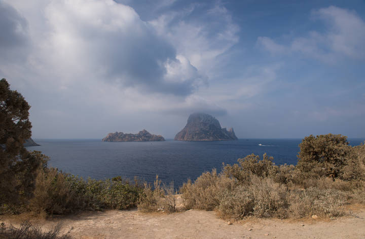 Vedra