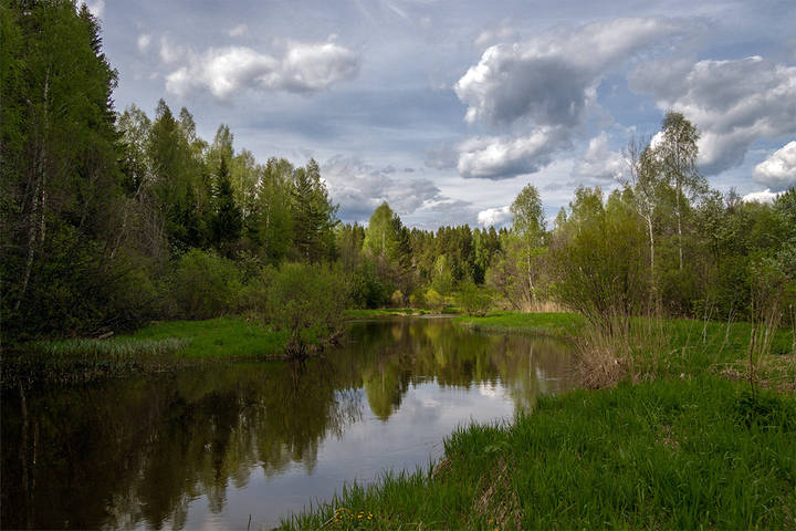 На речке