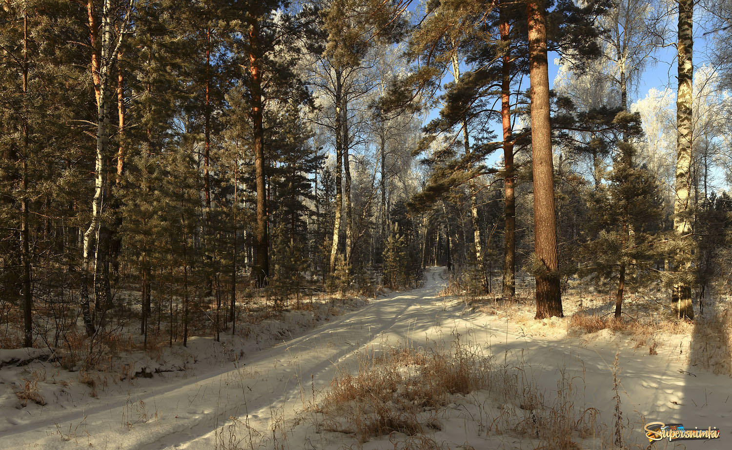 Остатки лесной зимы