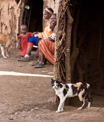 Kenya