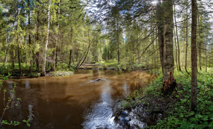 лето начинается...