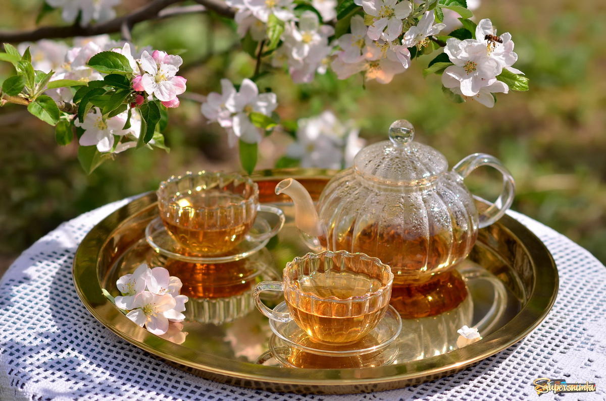 Чаепитие в весеннем саду