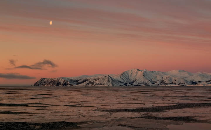 рыжая луна