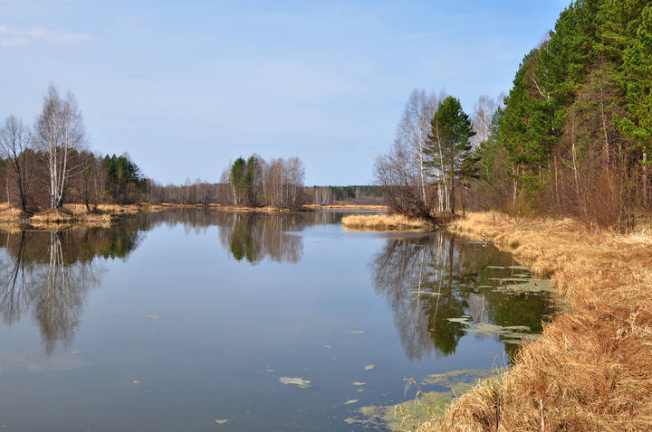 Весенняя река