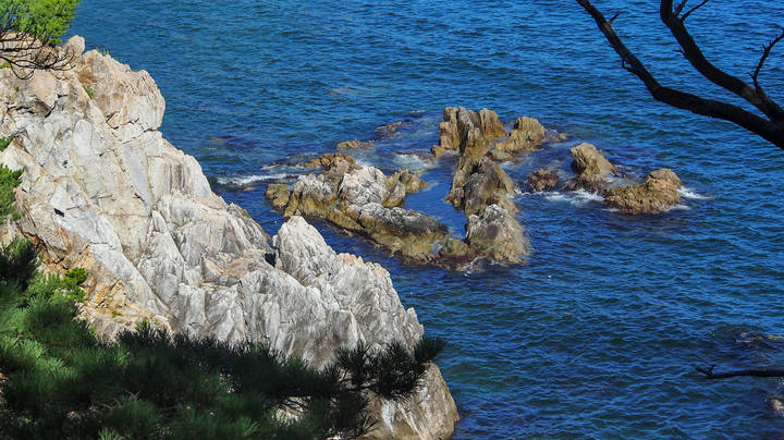 Сад камней Японского моря