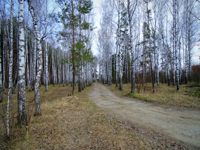 Суровый май .