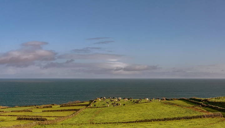 Azores 2018 Terceira 5
