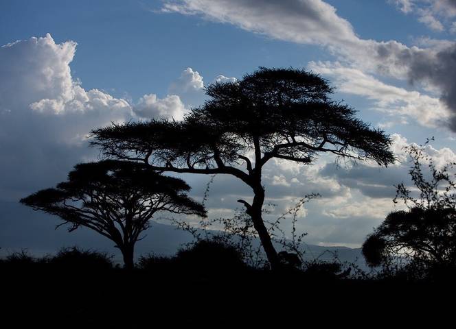 Kenya