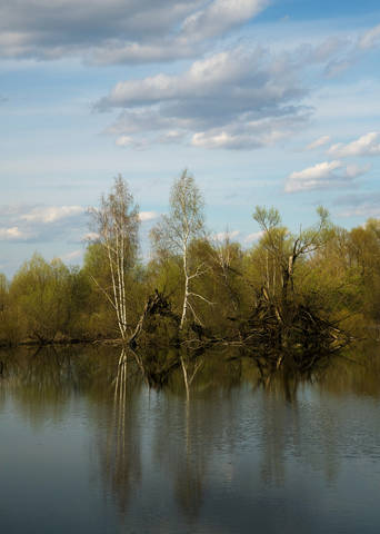 Весна