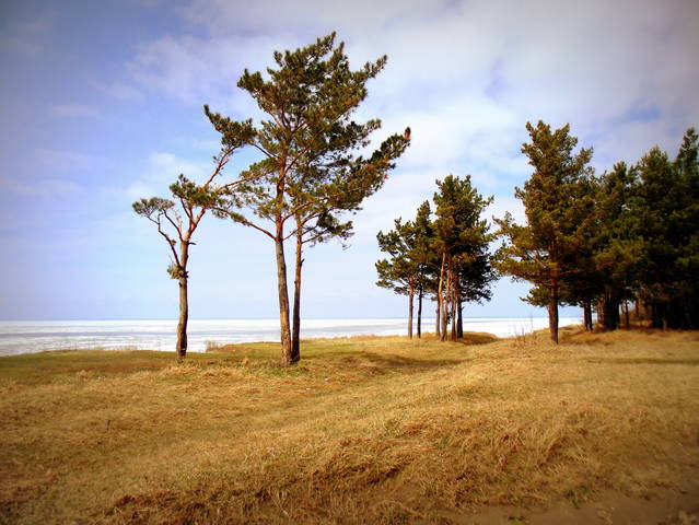 У моря .
