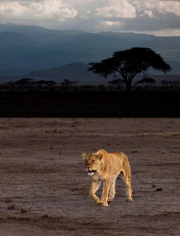 Kenya