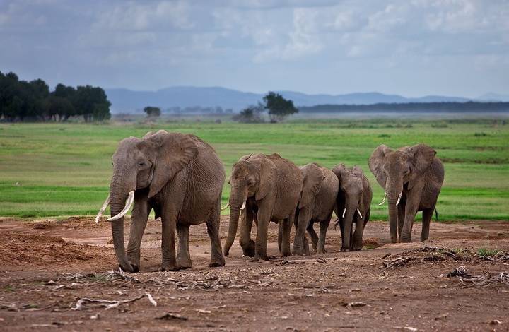 Kenya