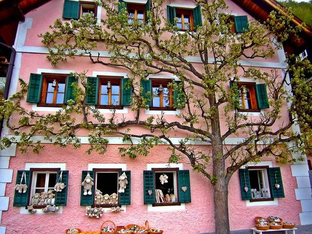 House in Hallstatt