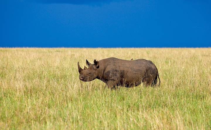 Kenya