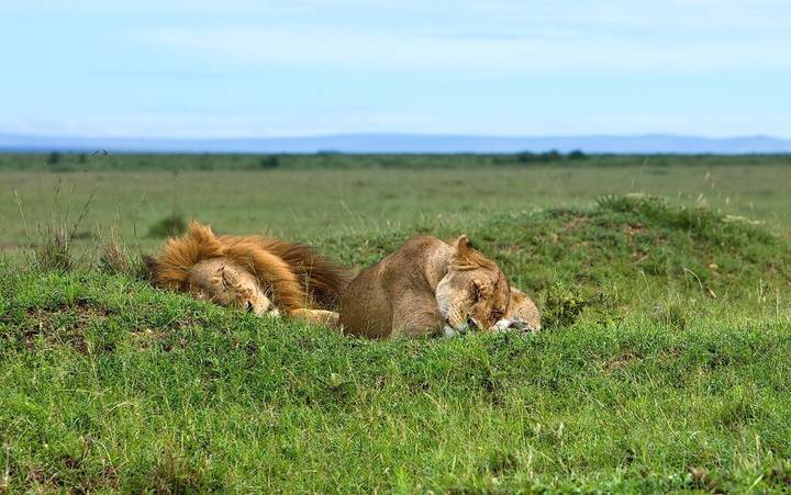Kenya