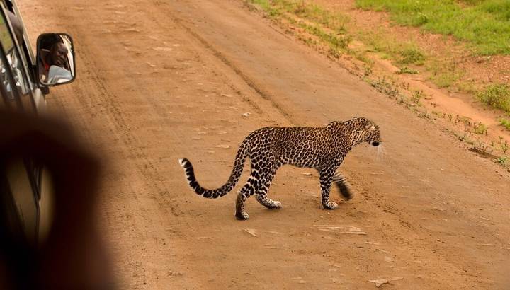 Kenya