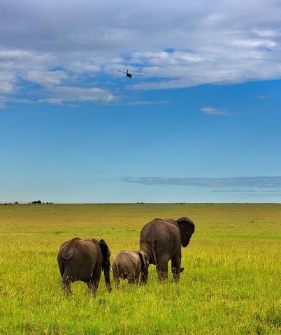 Kenya