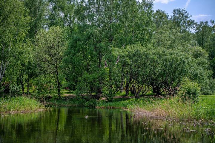 В Ботаническом Саду
